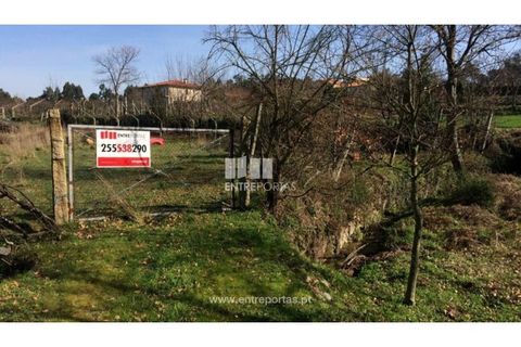Helårsgrund i Banho e Carvalhosa, Porto, Banho e Carvalhosa - € 32.500 | Ref: MC07369 - foto 19