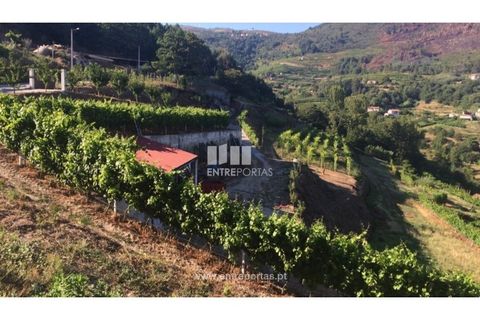 Helårsgrund i Ancede e Ribadouro, Porto, Ancede e Ribadouro - € 75.000 | Ref: MC07755 - foto 1