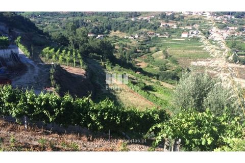 Helårsgrund i Ancede e Ribadouro, Porto, Ancede e Ribadouro - € 75.000 | Ref: MC07755 - foto 2
