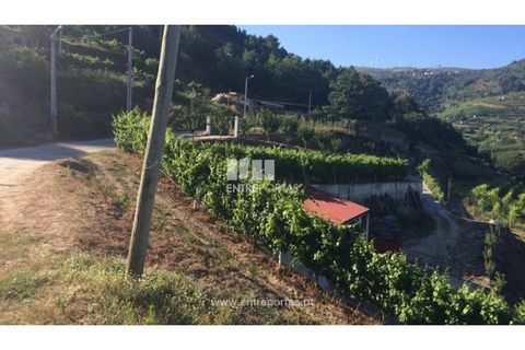 Helårsgrund i Ancede e Ribadouro, Porto, Ancede e Ribadouro - € 75.000 | Ref: MC07755 - foto 3