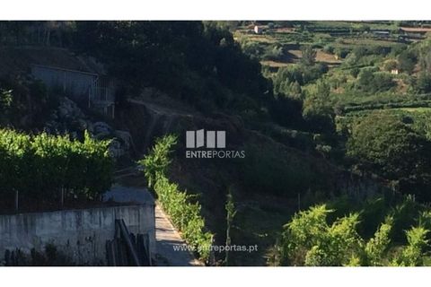Helårsgrund i Ancede e Ribadouro, Porto, Ancede e Ribadouro - € 75.000 | Ref: MC07755 - foto 4