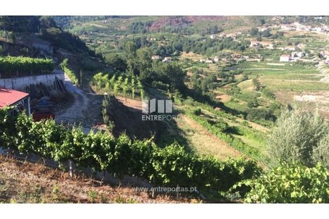 Helårsgrund i Ancede e Ribadouro, Porto, Ancede e Ribadouro - € 75.000 | Ref: MC07755 - foto 5