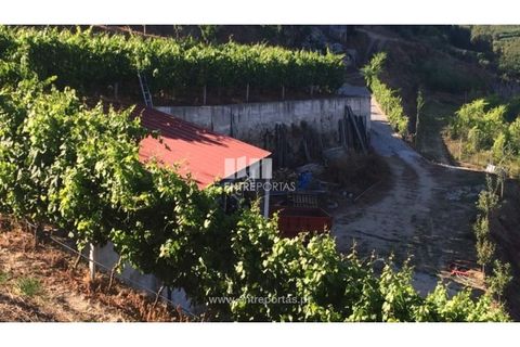 Helårsgrund i Ancede e Ribadouro, Porto, Ancede e Ribadouro - € 75.000 | Ref: MC07755 - foto 6