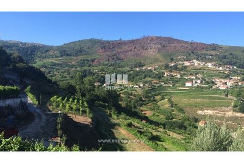 Helårsgrund i Ancede e Ribadouro, Porto, Ancede e Ribadouro - € 75.000 | Ref: MC07755 - foto 7