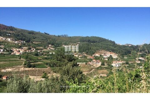 Helårsgrund i Ancede e Ribadouro, Porto, Ancede e Ribadouro - € 75.000 | Ref: MC07755 - foto 8