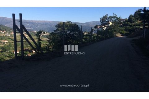 Helårsgrund i Ancede e Ribadouro, Porto, Ancede e Ribadouro - € 75.000 | Ref: MC07755 - foto 9