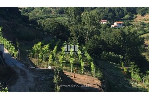 Helårsgrund i Ancede e Ribadouro, Porto, Ancede e Ribadouro - € 75.000 | Ref: MC07755 - foto 10