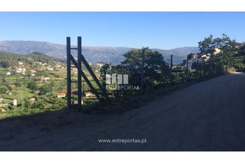 Helårsgrund i Ancede e Ribadouro, Porto, Ancede e Ribadouro - € 75.000 | Ref: MC07755 - foto 11