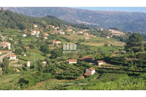 Helårsgrund i Ancede e Ribadouro, Porto, Ancede e Ribadouro - € 75.000 | Ref: MC07755 - foto 13