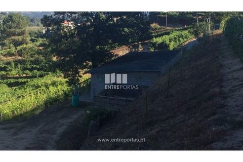 Helårsgrund i Ancede e Ribadouro, Porto, Ancede e Ribadouro - € 75.000 | Ref: MC07755 - foto 14