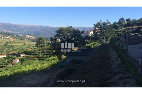 Helårsgrund i Ancede e Ribadouro, Porto, Ancede e Ribadouro - € 75.000 | Ref: MC07755 - foto 15