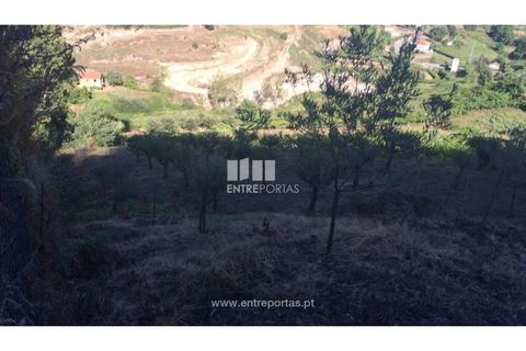 Helårsgrund i Ancede e Ribadouro, Porto, Ancede e Ribadouro - € 75.000 | Ref: MC07755 - foto 18