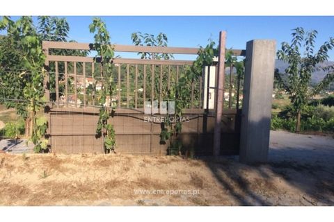 Helårsgrund i Ancede e Ribadouro, Porto, Ancede e Ribadouro - € 75.000 | Ref: MC07755 - foto 20
