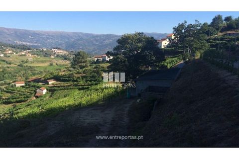 Helårsgrund i Ancede e Ribadouro, Porto, Ancede e Ribadouro - € 75.000 | Ref: MC07755 - foto 21