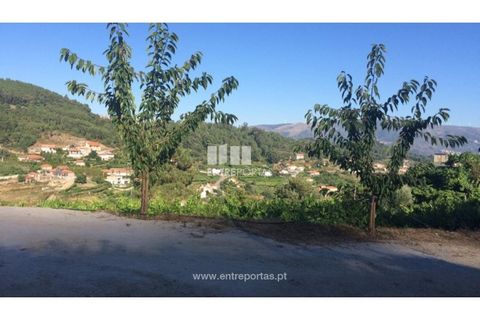 Helårsgrund i Ancede e Ribadouro, Porto, Ancede e Ribadouro - € 75.000 | Ref: MC07755 - foto 22