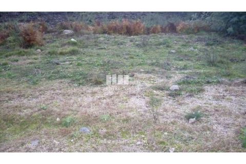 Tomt i Grilo, Porto, Grilo - € 21 500 | Ref: MC07649 - foto 2
