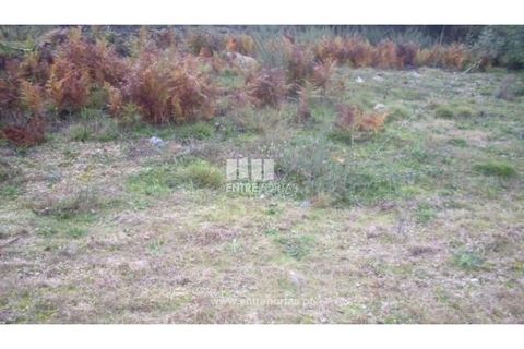 Tomt i Grilo, Porto, Grilo - € 21 500 | Ref: MC07649 - foto 3