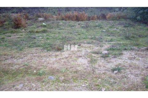 Tomt i Grilo, Porto, Grilo - € 21 500 | Ref: MC07649 - foto 13