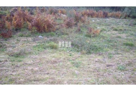 Tomt i Grilo, Porto, Grilo - € 21 500 | Ref: MC07649 - foto 22