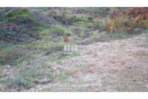Tomt i Grilo, Porto, Grilo - € 21 500 | Ref: MC07649 - foto 23