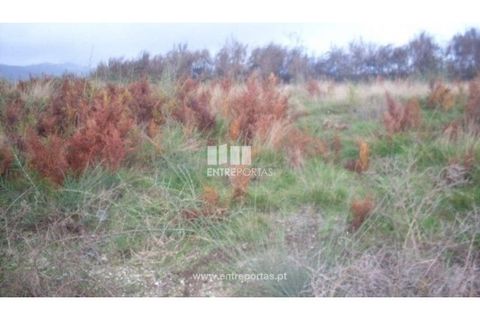 Grond in Grilo, Porto, Grilo - € 25.000 | Ref: MC07650 - foto 2