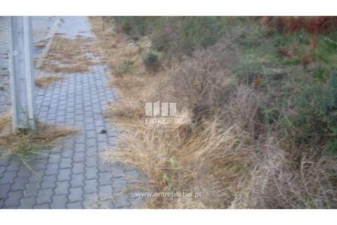 Grond in Grilo, Porto, Grilo - € 25.000 | Ref: MC07650 - foto 3