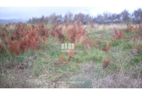 Grond in Grilo, Porto, Grilo - € 25.000 | Ref: MC07650 - foto 16