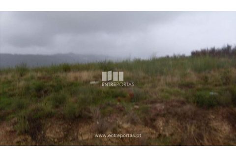 Terra a Grilo, Porto, Grilo - € 25.000 | Ref: MC07651 - foto 4
