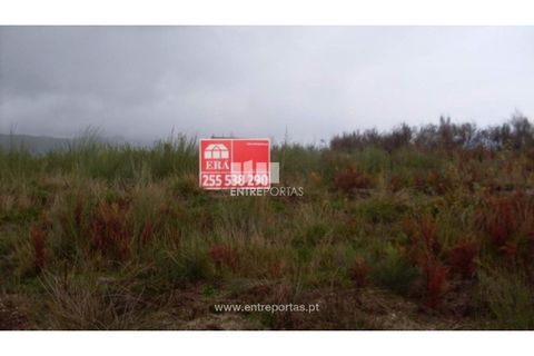 Terra a Grilo, Porto, Grilo - € 25.000 | Ref: MC07651 - foto 5