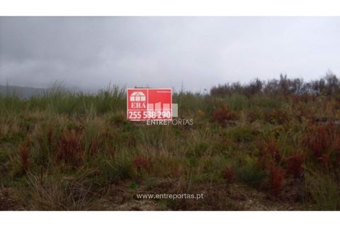 Terra a Grilo, Porto, Grilo - € 25.000 | Ref: MC07651 - foto 14