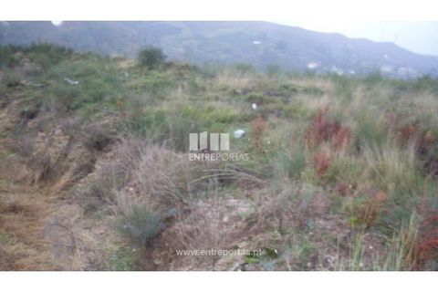 Terra a Grilo, Porto, Grilo - € 25.000 | Ref: MC07651 - foto 27