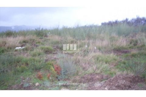 Terra a Grilo, Porto, Grilo - € 25.000 | Ref: MC07651 - foto 29