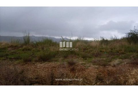 Terra a Grilo, Porto, Grilo - € 22.500 | Ref: MC07652 - foto 4