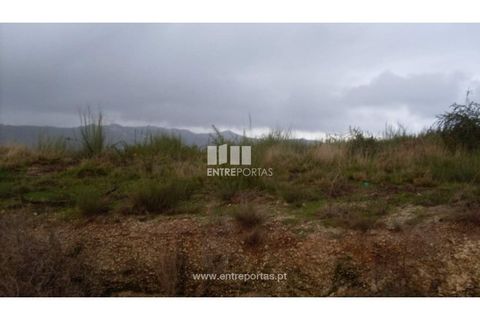 Terra a Grilo, Porto, Grilo - € 22.500 | Ref: MC07652 - foto 5