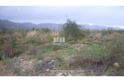 Terra a Grilo, Porto, Grilo - € 22.500 | Ref: MC07652 - foto 6