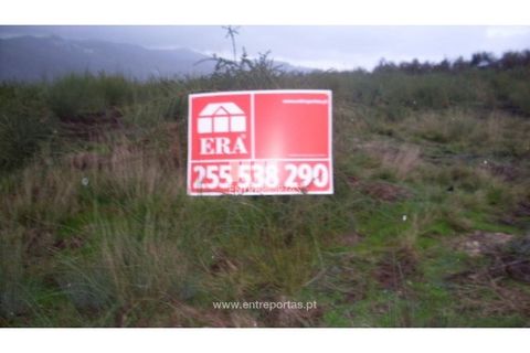Terra a Grilo, Porto, Grilo - € 22.500 | Ref: MC07652 - foto 8