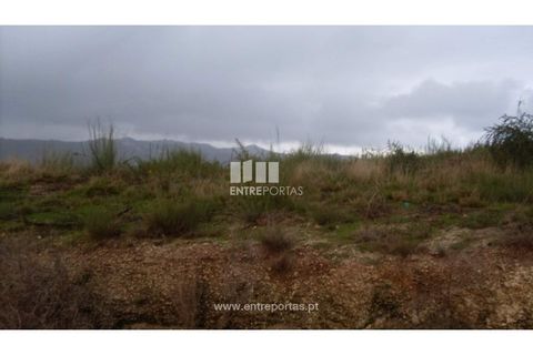 Terra a Grilo, Porto, Grilo - € 22.500 | Ref: MC07652 - foto 15