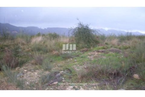 Terra a Grilo, Porto, Grilo - € 22.500 | Ref: MC07652 - foto 16