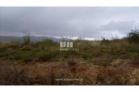 Terra a Grilo, Porto, Grilo - € 22.500 | Ref: MC07652 - foto 29