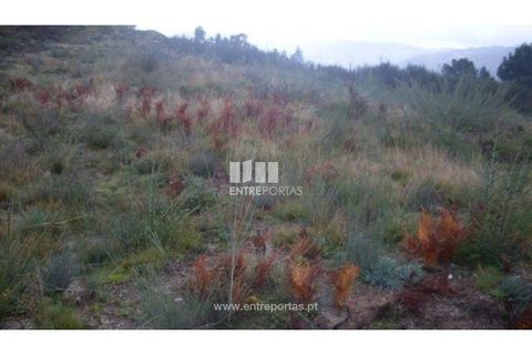 Helårsgrund i Grilo, Porto, Grilo - € 25.000 | Ref: MC07653 - foto 1