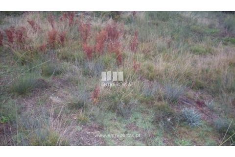 Helårsgrund i Grilo, Porto, Grilo - € 25.000 | Ref: MC07653 - foto 3