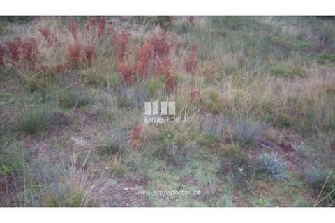 Helårsgrund i Grilo, Porto, Grilo - € 25.000 | Ref: MC07653 - foto 14