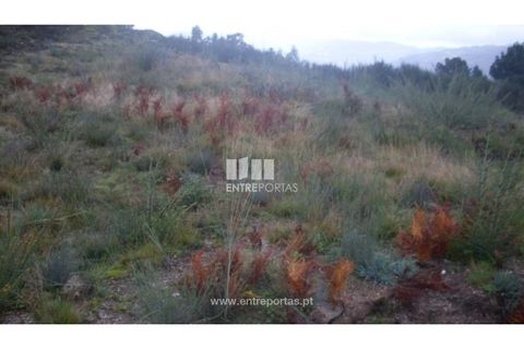 Helårsgrund i Grilo, Porto, Grilo - € 25.000 | Ref: MC07653 - foto 30