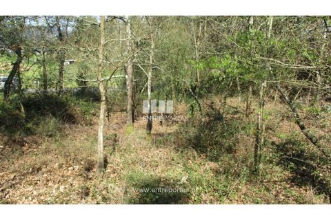 Terra a Melres e Medas, Porto, Melres e Medas - € 37.000 | Ref: MC07579 - foto 4