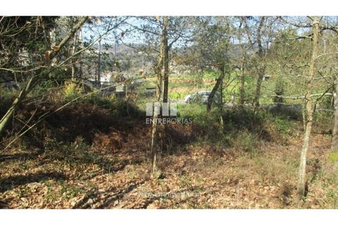 Terra a Melres e Medas, Porto, Melres e Medas - € 37.000 | Ref: MC07579 - foto 5
