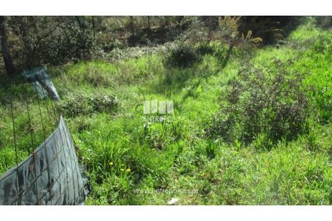 Terra a Melres e Medas, Porto, Melres e Medas - € 37.000 | Ref: MC07579 - foto 7