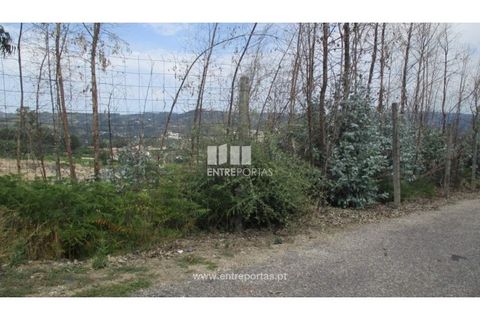 Helårsgrund i Amarante, Porto, Amarante - € 85.000 | Ref: MC07667 - foto 6