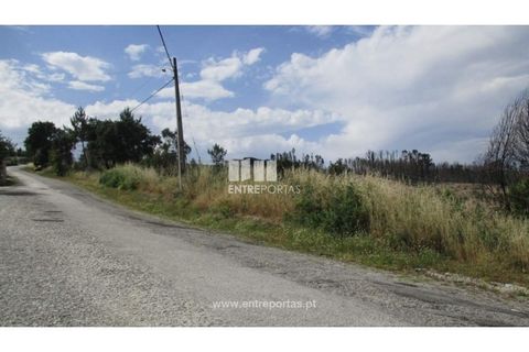 Helårsgrund i Amarante, Porto, Amarante - € 85.000 | Ref: MC07667 - foto 7