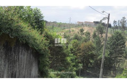 Helårsgrund i Amarante, Porto, Amarante - € 85.000 | Ref: MC07667 - foto 12
