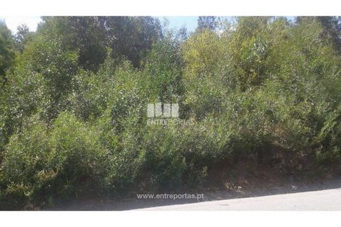 Terra a Cabeca Santa, Porto, Cabeca Santa - € 150.000 | Ref: MC07632 - foto 2